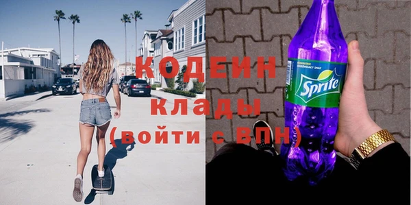 индика Алзамай