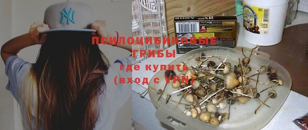 молекула духа Переславль-Залесский